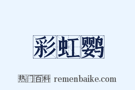 彩虹鹦是什么意思的图片